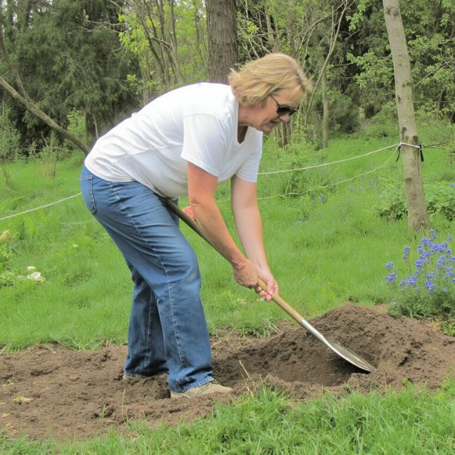 While digging in my quiet garden, the shovel suddenly struck something hard. Curiosity took over as I uncovered it slowly, and what finally emerged from the earth left me frozen in disbelief.