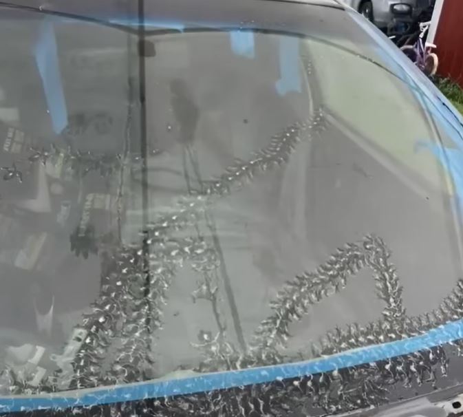 I discovered some strange marks on my car… and I was surprised to learn what caused them.