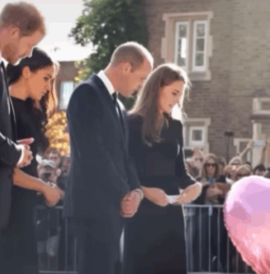 15 Minutes Ago, William sorrowfully announces to all of England that the royal family has suffered an immense loss, which is…