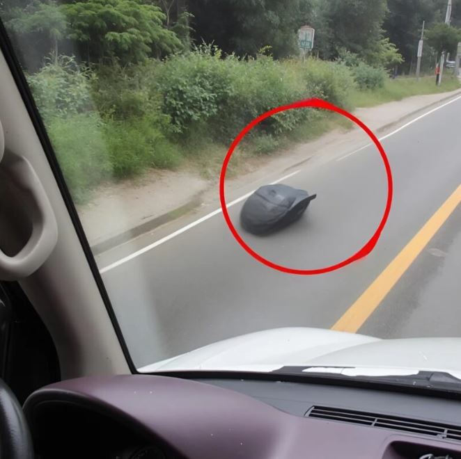 We were shocked to discover that the heavy plastic bag thrown out of the car window by the driver was not just trash.
