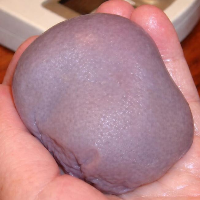 I picked up what was lying near my foot, thinking it was a stone, but when it moved in my hand, I froze in terror.