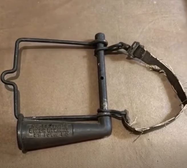 The Brass Beauty: A Look Back at Vintage Veterinary Craftsmanship