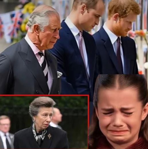 1 HOUR AGO! “Everyone, bow your heads and…” Princess Anne’s trembling voice echoed through the grand hall. Harry rushed back to the Palace, leaving all grudges behind. No press, no cameras — only a chilling silence: “We are deeply saddened to announce…